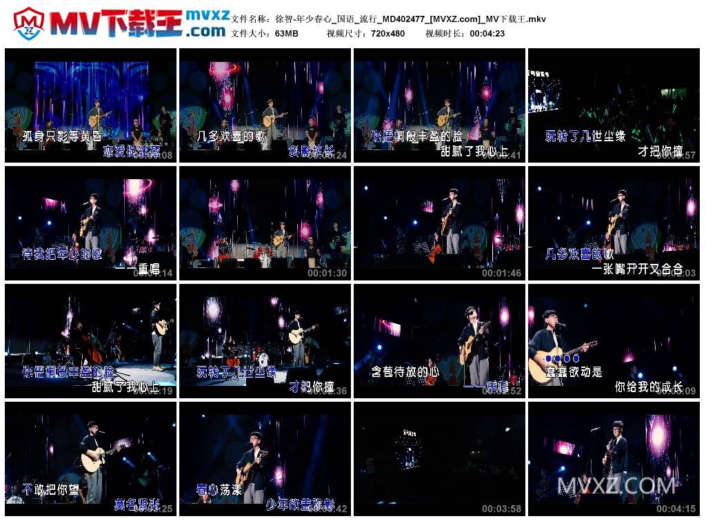 徐智-年少春心_国语_流行_MD402477